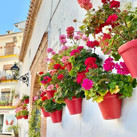Port Beachfront - Eaw Homes * Marbella